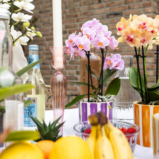 Vaso Decorativo A Strisce Dipinte - Lilla