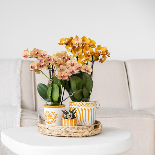 Vaso Decorativo A Strisce Dipinte - Arancione