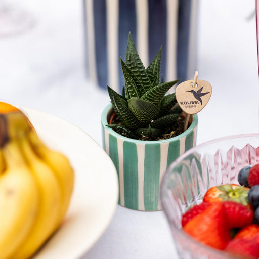 Vaso Decorativo A Strisce Dipinte - Turchese