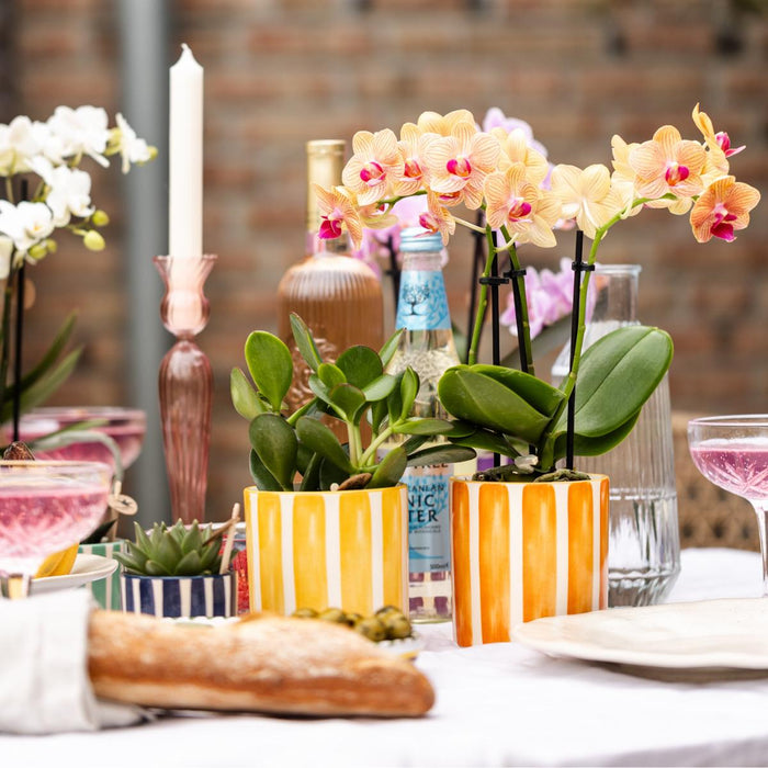 Vaso Decorativo Con Strisce Dipinte - Giallo