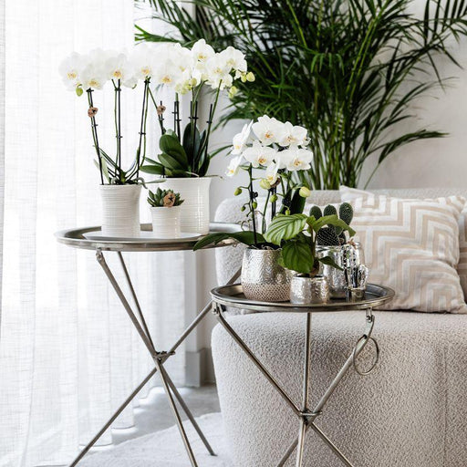 Vaso Decorativo In Ceramica Argento Elite