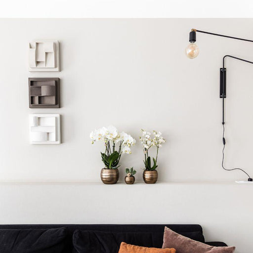 Vaso Decorativo In Ceramica Per Api