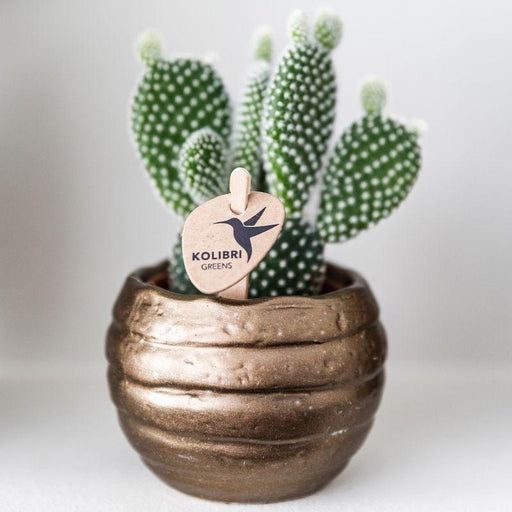 Vaso Decorativo In Ceramica Per Api