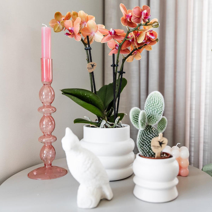 Vaso Decorativo In Ceramica A Bolle Bianche