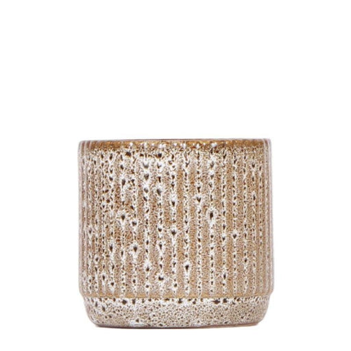 Vaso Decorativo In Ceramica Jaguar