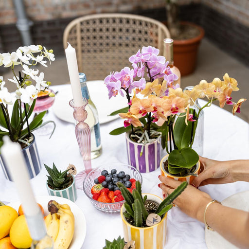 Vaso Decorativo A Strisce Dipinto - Giallo