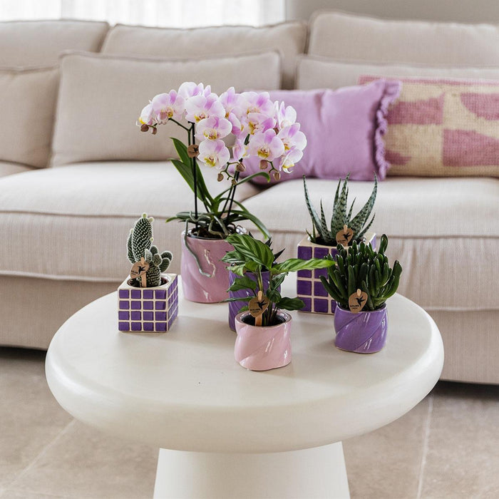 Vaso In Ceramica Rosa Candy