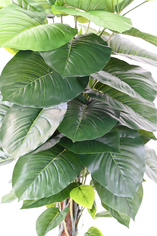 Pothos Artificiale Con Paletto In Cocco 120Cm Decorazione