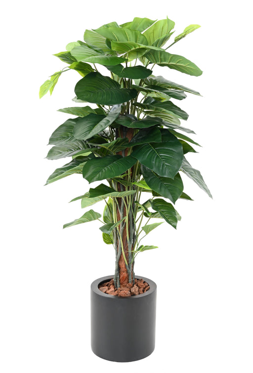 Pothos Artificiale Con Paletto In Cocco 120Cm Decorazione
