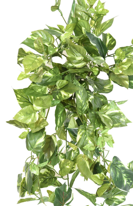 Pothos Artificiale Variegato 80Cm Su Paletto Per Interni