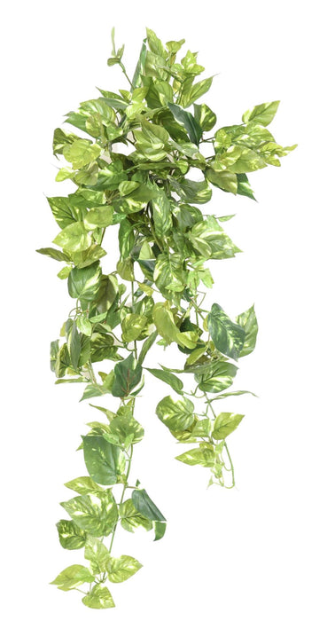 Pothos Artificiale Variegato 80Cm Su Paletto Per Interni