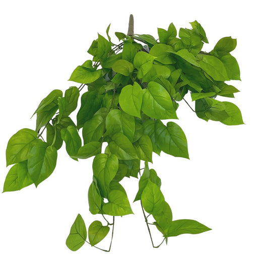 Pothos - Fogliame Artificiale Da Appendere