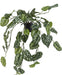 Pothos Silver - Pianta Artificiale Cadente