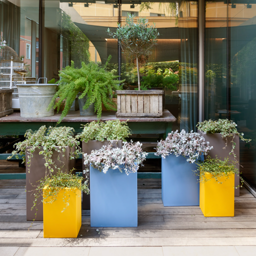 Vasi Con Base In Vaso