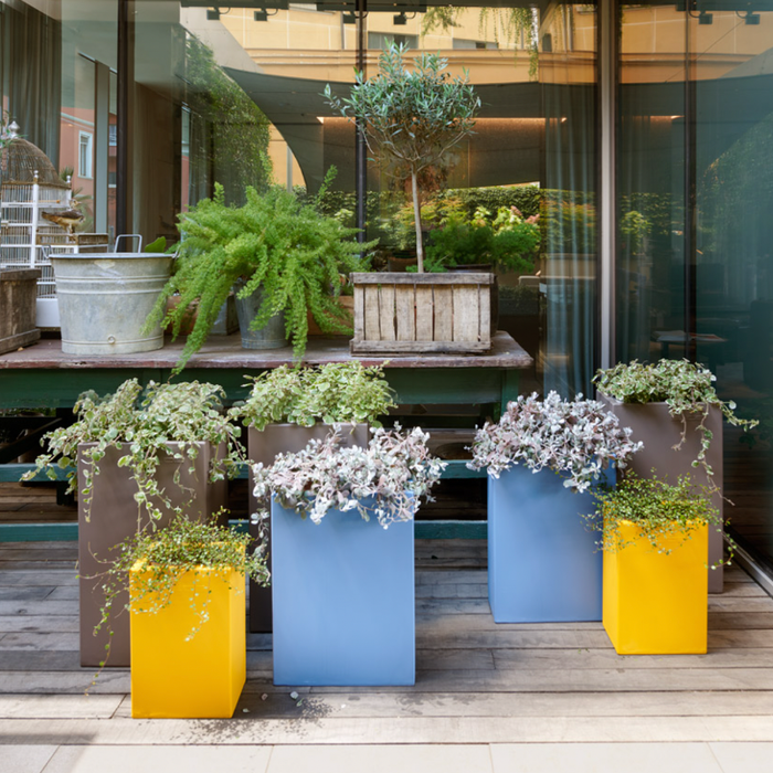 Vasi Con Base In Vaso