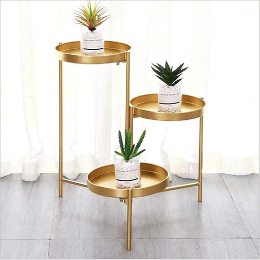 Esposizione Di Fiori E Piante 3