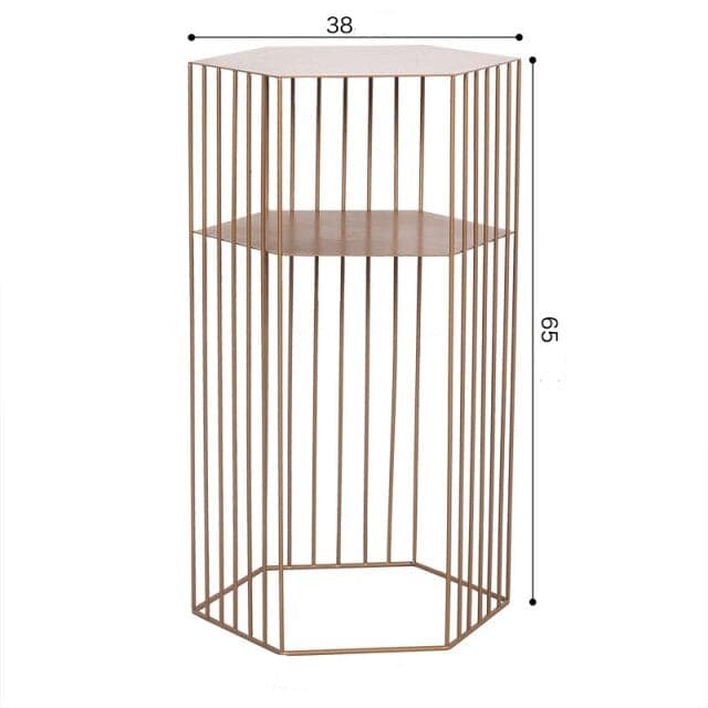 Visualizzazione Della Pianta Del Valore