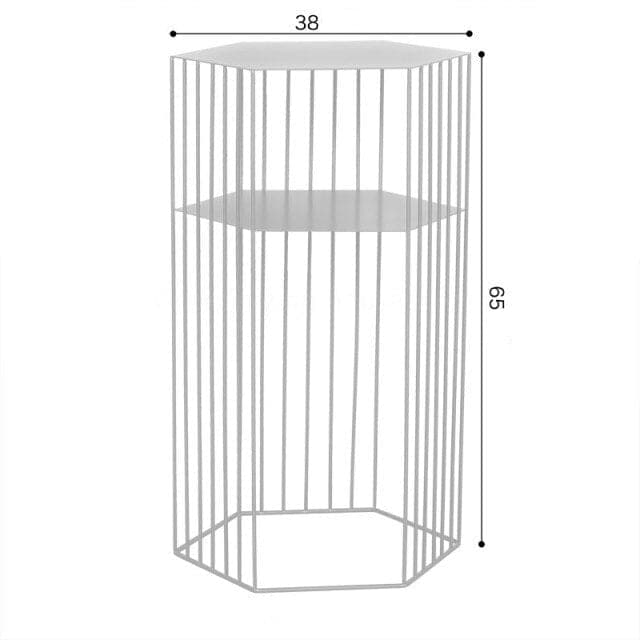 Visualizzazione Della Pianta Del Valore