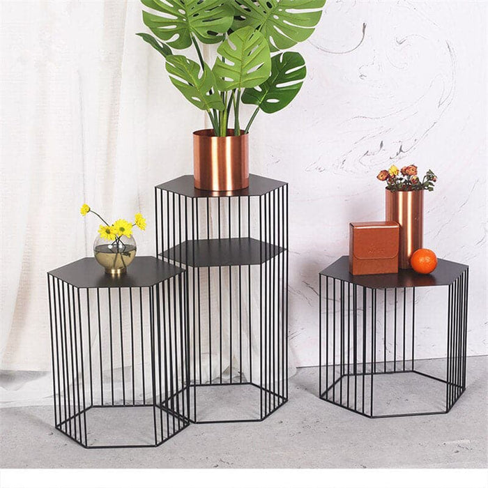 Visualizzazione Della Pianta Del Valore