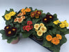 Primula Retro Mix - D11Cm H15Cm