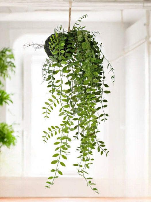 Pumila - Pianta Artificiale Cadente