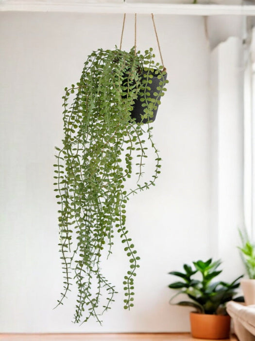 Pumila - Pianta Artificiale Cadente