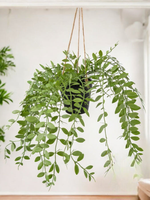 Pumila - Pianta Artificiale Cadente