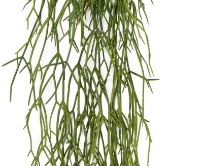 Rhipsalis Artificiale 50Cm Per Interni Ed Esterni