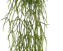 Rhipsalis Artificiale 50Cm Per Interni Ed Esterni