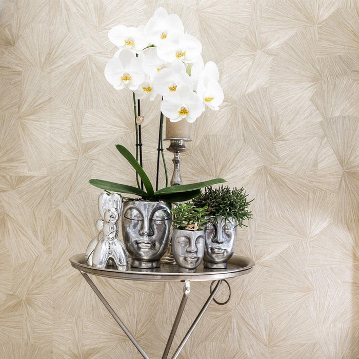 Rhipsalis Baccifera In Vaso D'argento