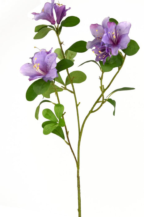 Rododendro Azalea Artificiale Viola