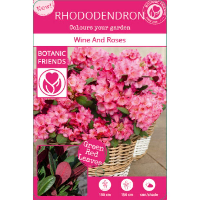 Rododendro 'Wine & Roses'® - ↨20Cm - Ø13Cm - Arbusto Da Fiore
