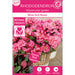 Rododendro 'Wine & Roses'® - ↨20Cm - Ø13Cm - Arbusto Da Fiore