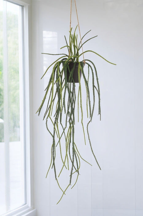 Pianta Artificiale Di Cactus Corallo Rhypsalis - H85 Cm, Ø15 Cm