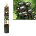 Ribes Nigrum 'Ben Nevis'+3.0 Etichetta - Ø17Cm - ↕75Cm