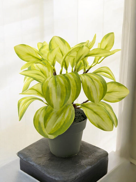 Rohdea - Pianta Verde Artificiale