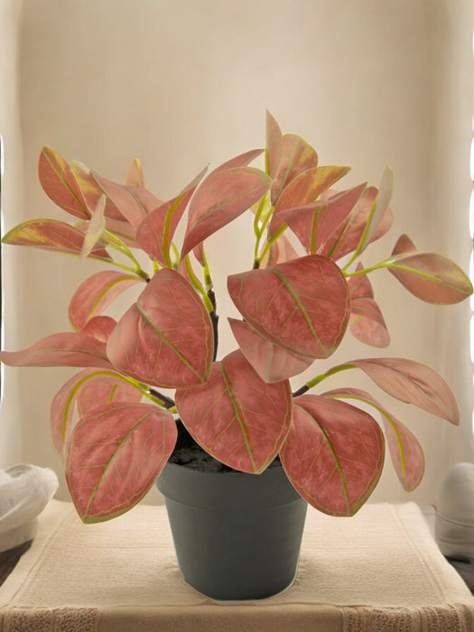 Rohdea Red - Pianta Verde Artificiale