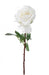 Rosa Artificiale Olivo 70Cm Tergal Bianco
