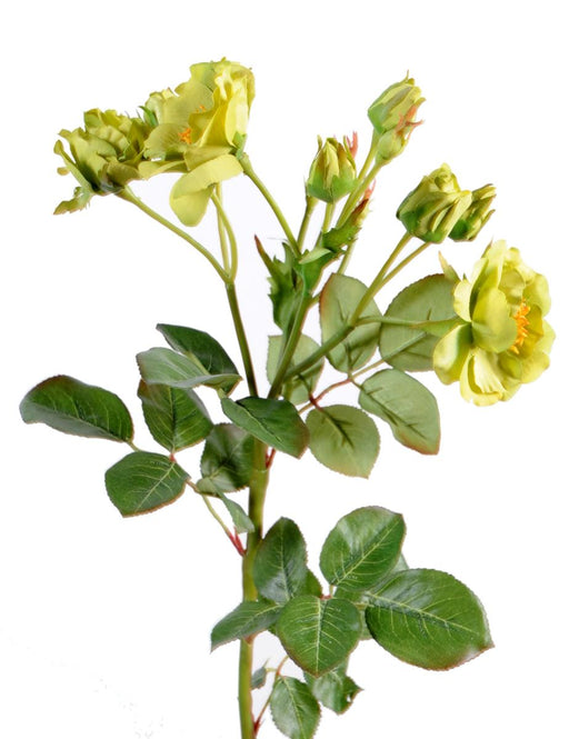 Rosa Selvatica Artificiale 52 Cm Per Decorazione Floreale