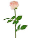 Rosa Artificiale Classica Rosa Chiaro