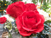 Rosa Artificiale Gigante Rossa 108 Cm Decorazione Interni