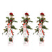 Cespuglio Di Rose Rosse - Set Da 3 - ↨65 Cm - Ø15 - Pianta Da Esterno