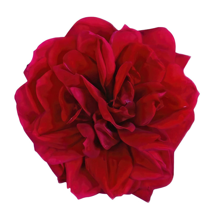 Cespuglio Di Rose Rosse - Pianta Da Fiore All'aperto