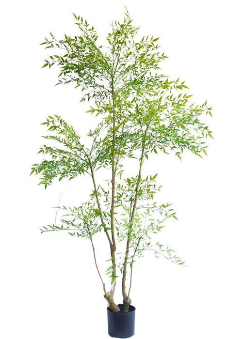 Ruscus - Grande Pianta Artificiale