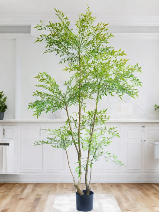 Ruscus - Grande Pianta Artificiale