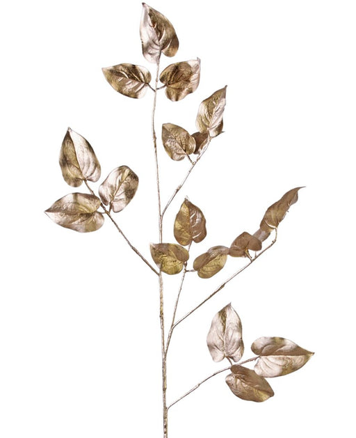 Salal - Champagne Con Fogliame Artificiale