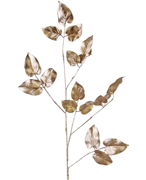 Salal - Champagne Con Fogliame Artificiale