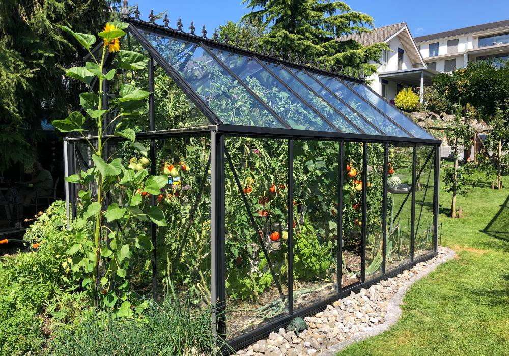 Esplora Florysia oggi