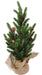 Albero Di Natale Artificiale 45Cm Con Pigne