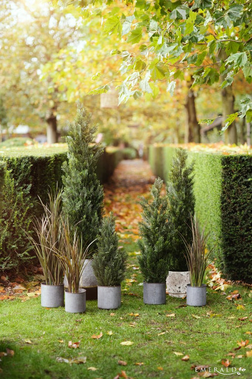 Abete In Vaso - Conifera Artificiale